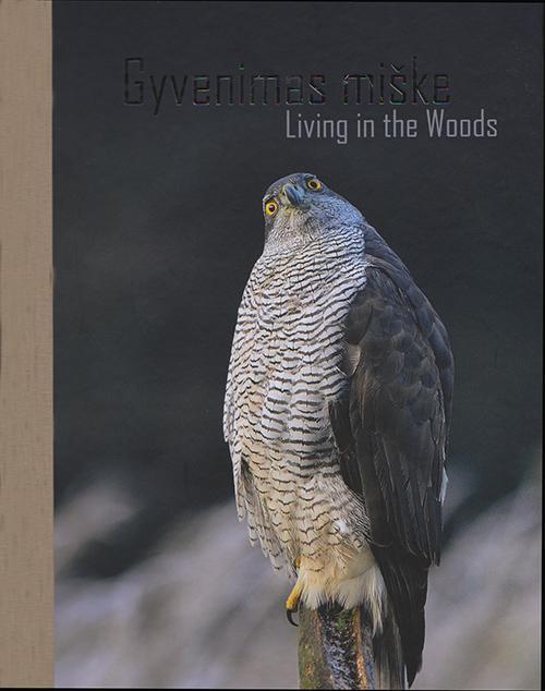Gyvenimas miške Living in the Woods