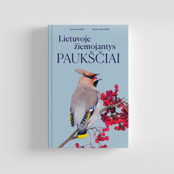 Lietuvoje žiemojantys paukščiai