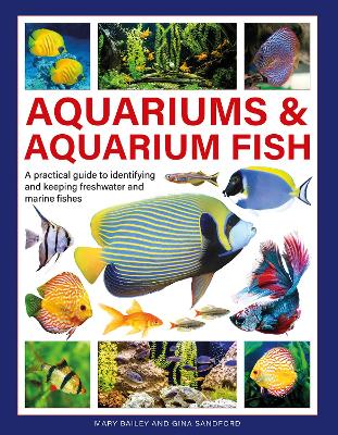 Aquariums & Aquarium Fish: A Practical Guide to Identifying