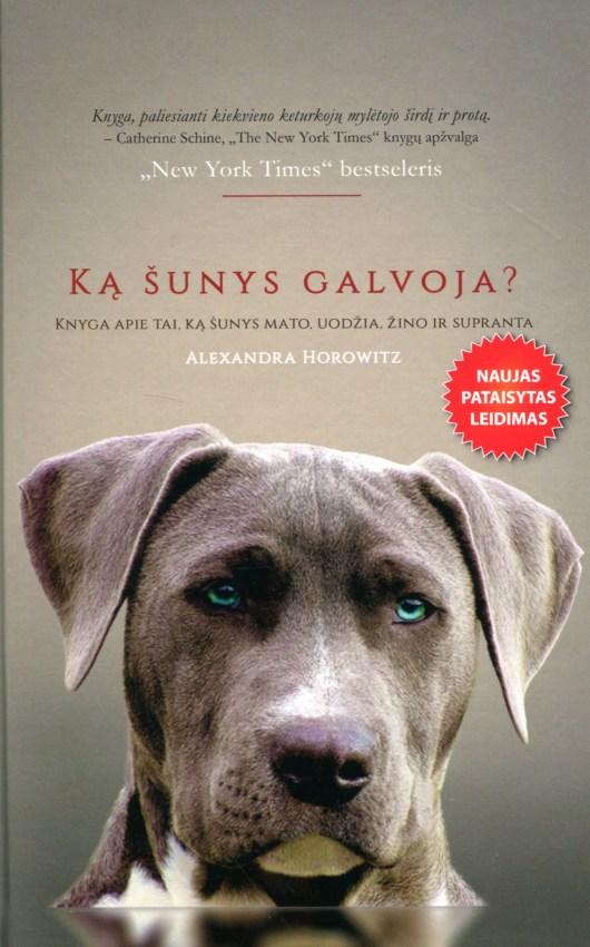Ką šunys galvoja?