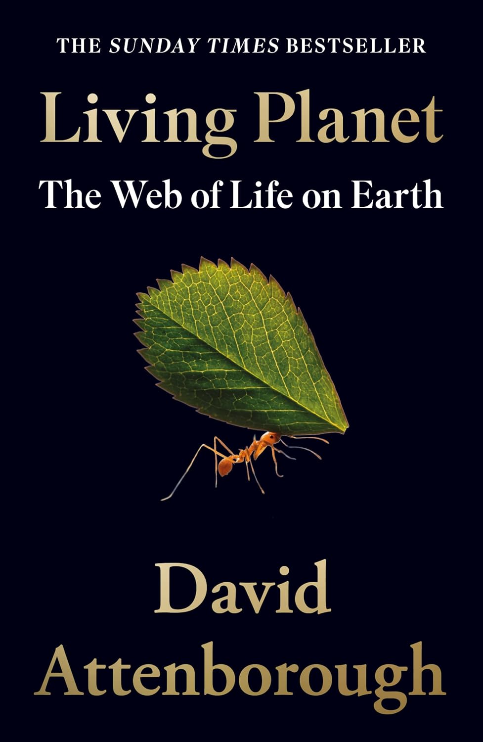 Living Planet : The Web of Lif e on Earth