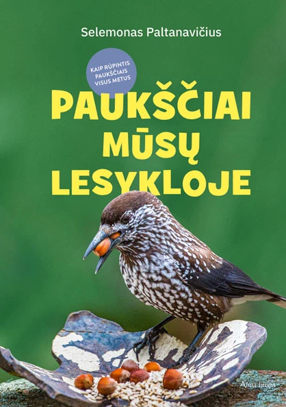 Paukščiai mūsų lesykloje: kaip rūpintis paukščiais visus metus
