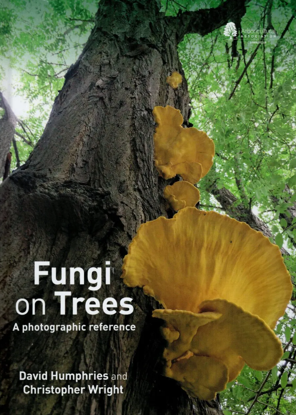 Fungi on Trees: A Photographic Reference