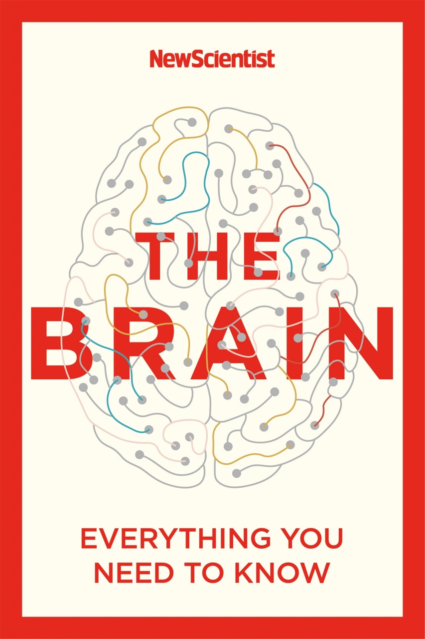 Brain