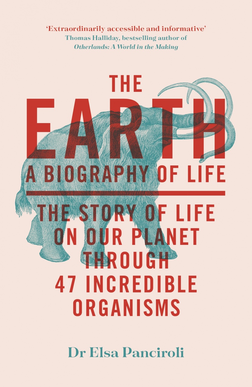 The Earth