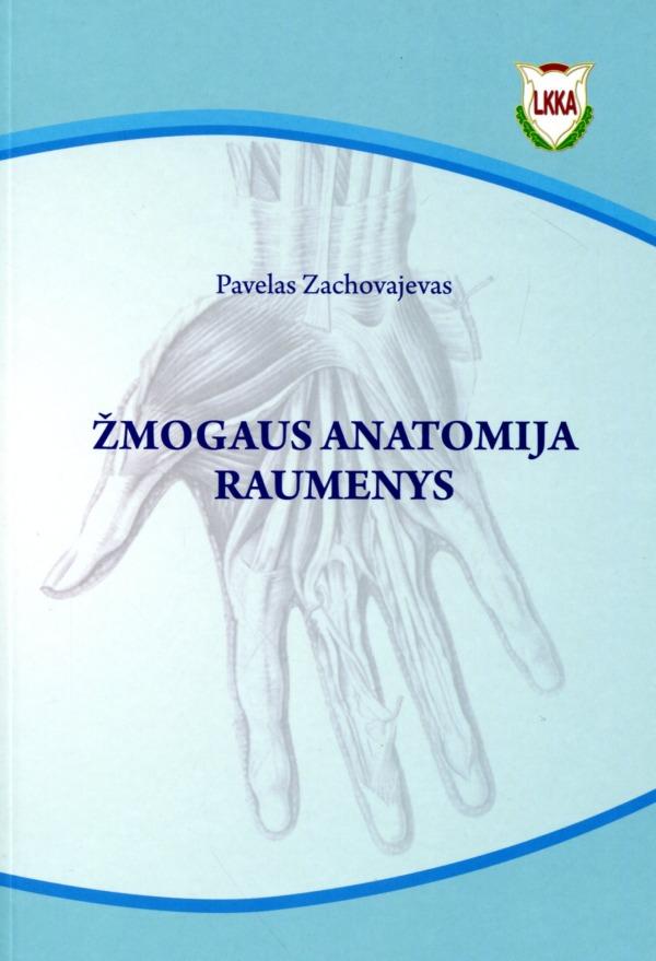 Žmogaus anatomija: raumenys