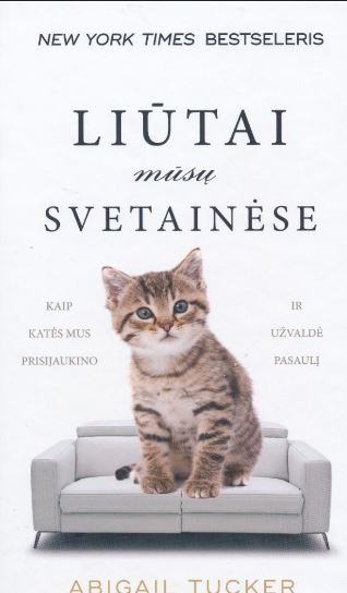Liūtai mūsų svetainėse: kaipkatės mus prisijaukino
