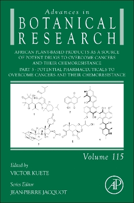 African Plant-Based Products as a Source of Potent Drugs to Overcome Cancers and their Chemoresistance