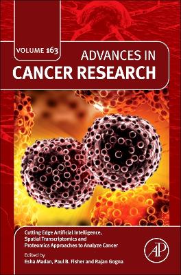 Cutting Edge Artificial Intelligence, Spatial Transcriptomics and Proteomics Approaches to Analyze Cancer