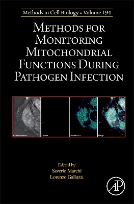 Methods for Monitoring Mitochondrial Functions During Pathogen Infection