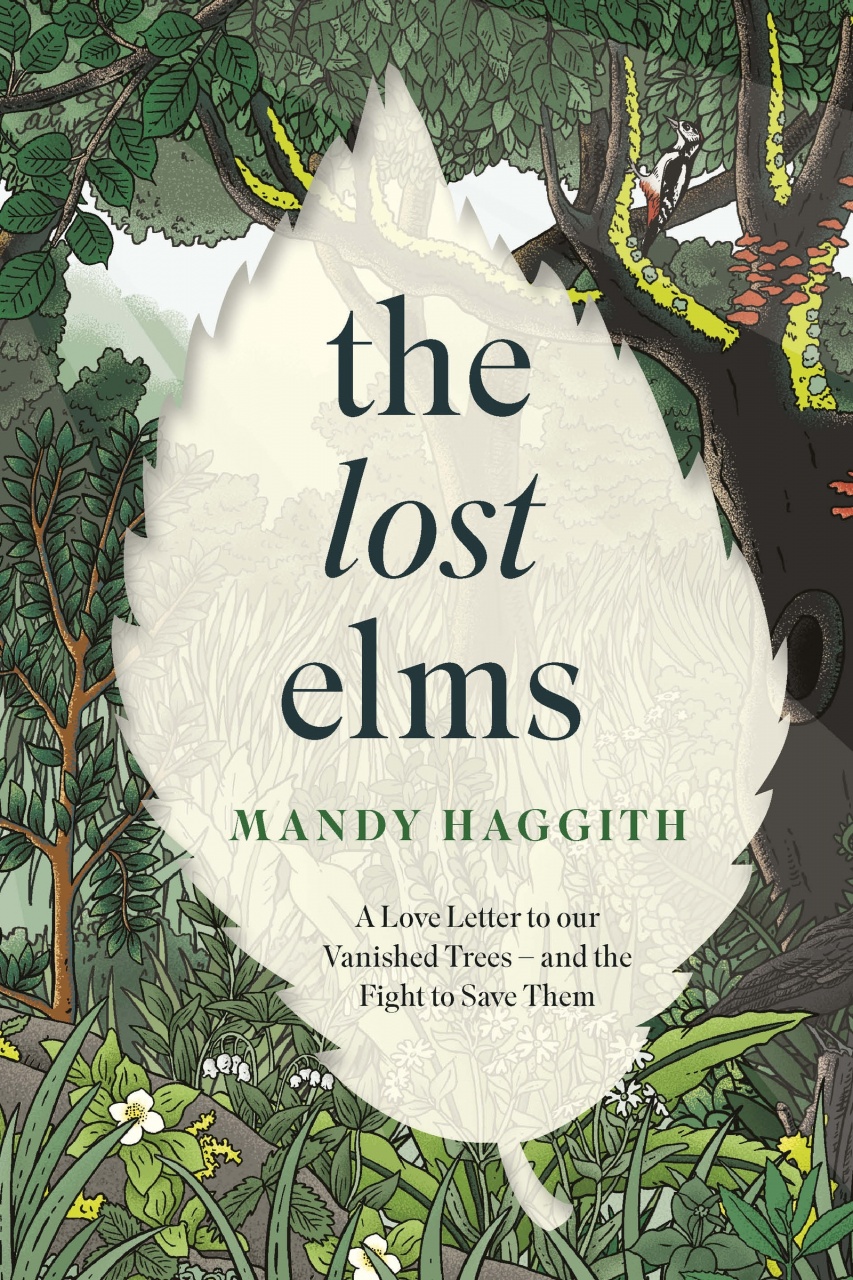Lost Elms