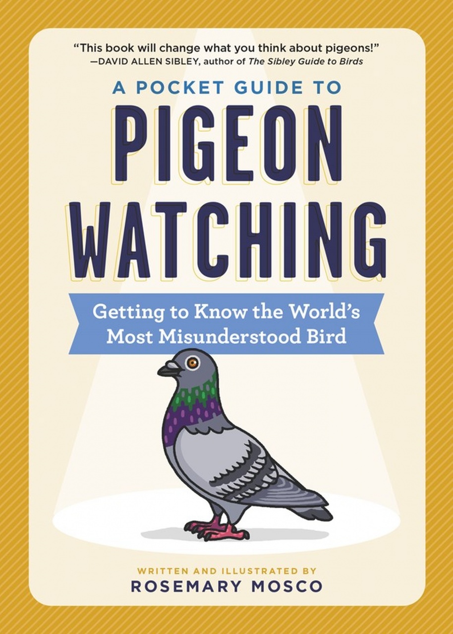 Pocket Guide to Pigeon Watching
