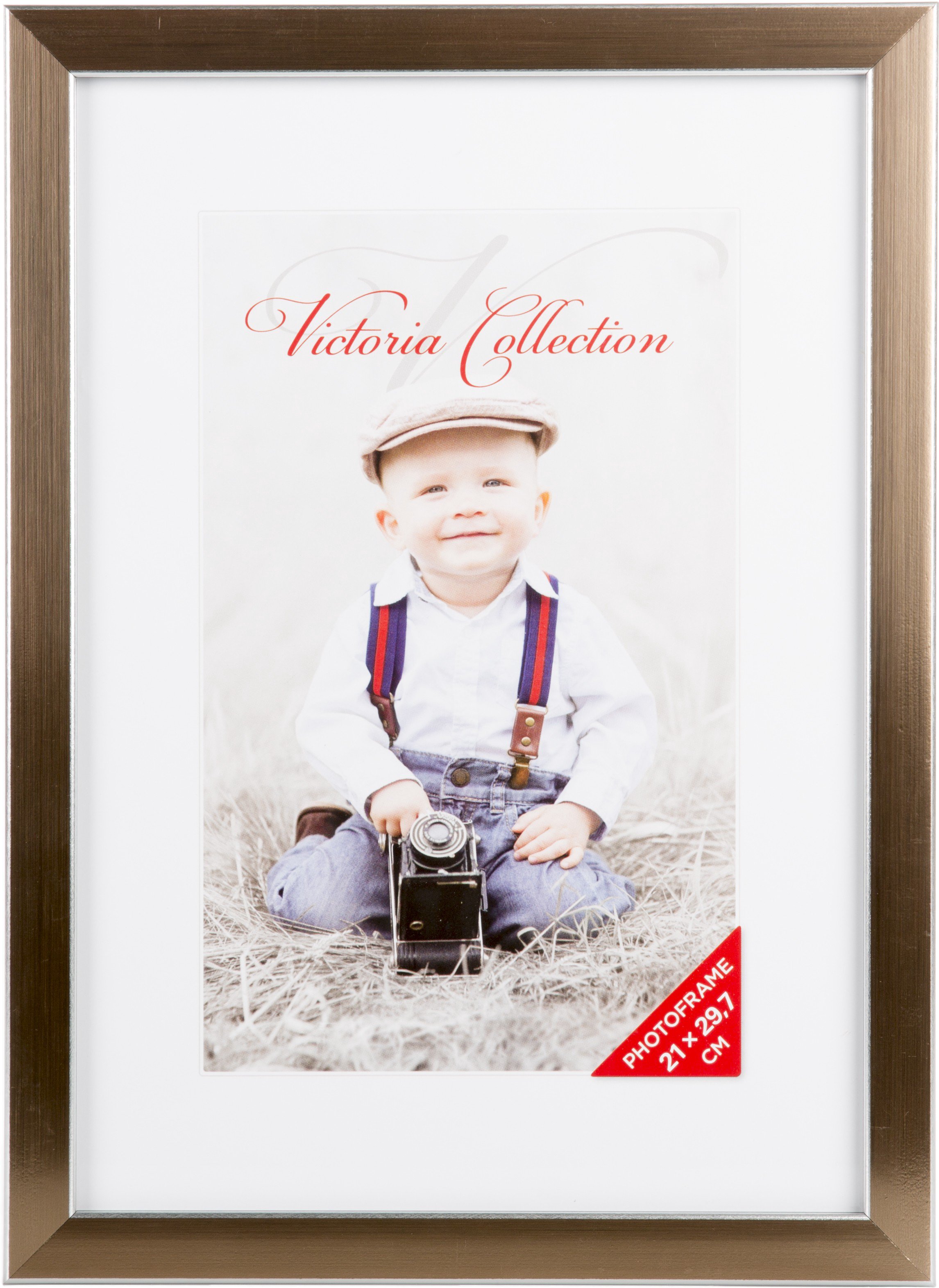 Photo frame Titan 21x29.7, golden (VF3425)