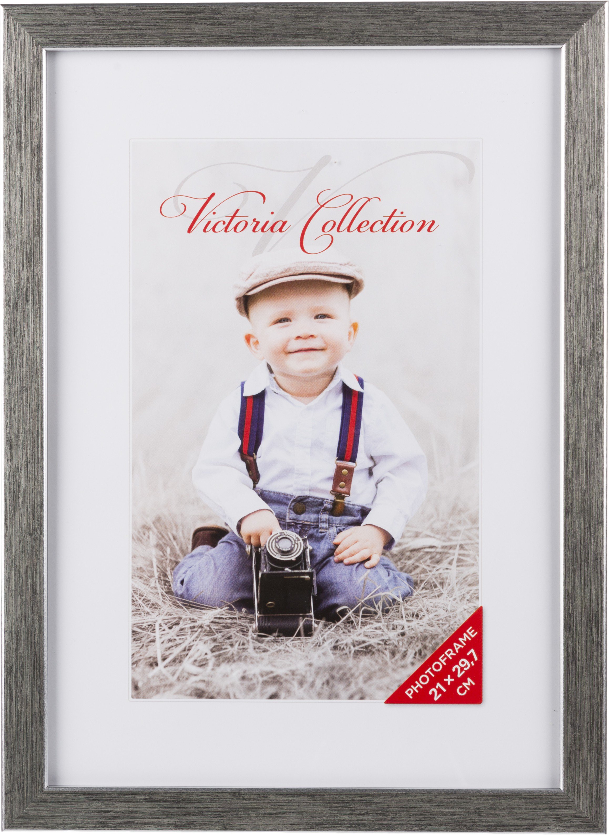 Photo frame Titan 21x29.7, silver (VF3423)