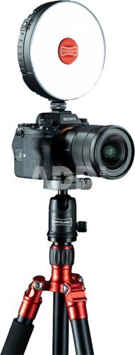 ROTOLIGHT NEO 3 STARTER BUNDLE