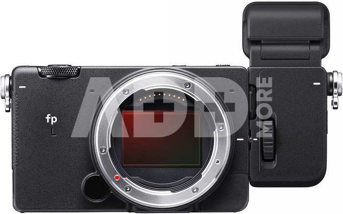 Sigma FP L + Electronic Viewfinder EVF-11