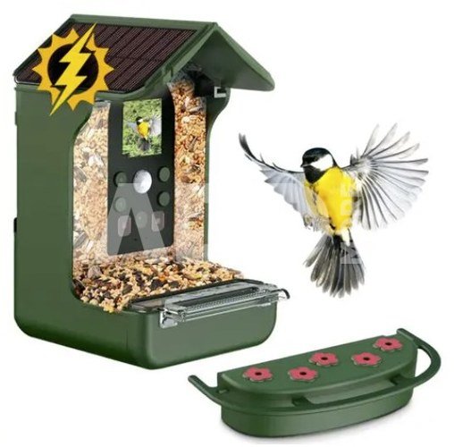 Easypix Bird Cam