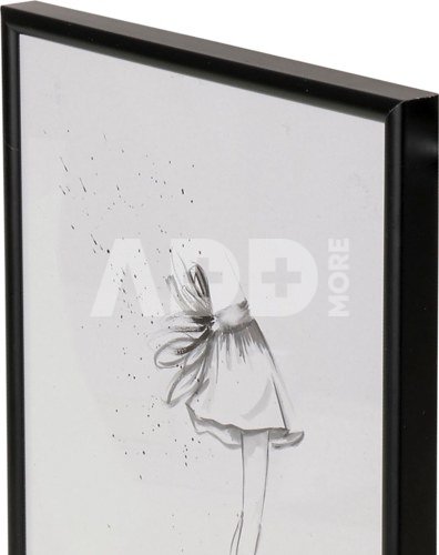 Focus Can-Can Aluminium Black 40x60