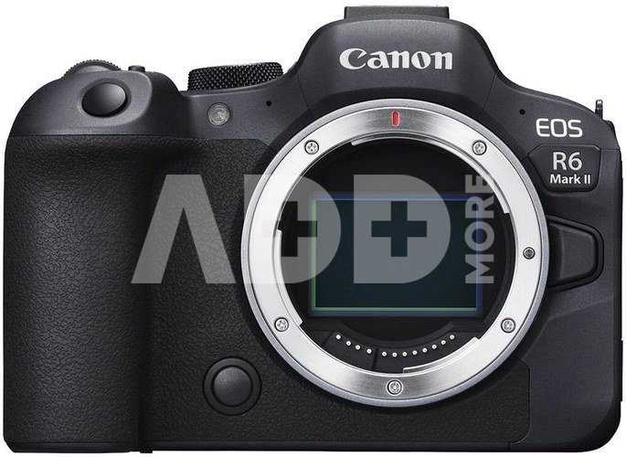 Canon EOS R6 Mark II Body + adapter EF-EOS-R