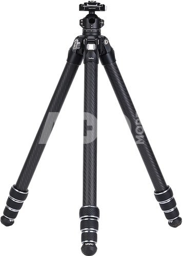 Falcam TreeRoot Quick Lock Lite Tripod T00A4903