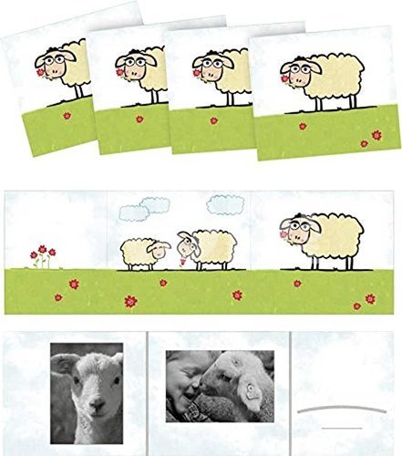 1x25 Daiber Schaf 13x18 Kids Portrait folders 13325