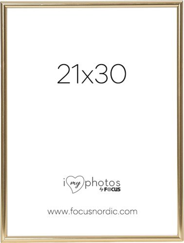 Focus Can-Can Shiny Gold 21x30