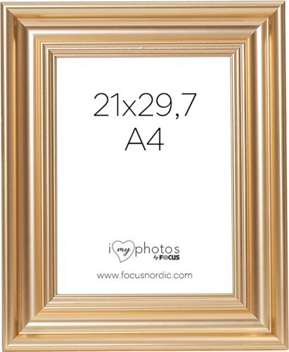 Focus Charleston Gold 21x29,7 (A4)