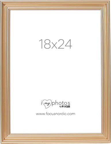 Focus Verona Gold 18x24
