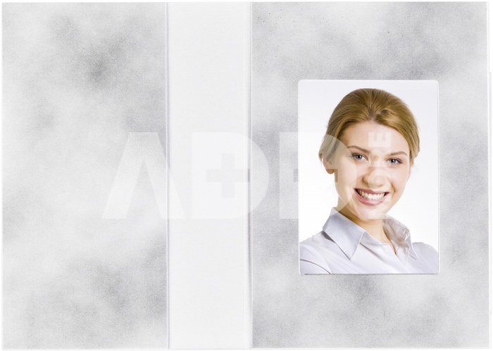 1x100 Daiber Folders Passport Photograph, grey, 36x50 mm