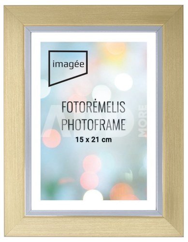 Rėmelis 30x40 plast 3012-auksas| 30mm
