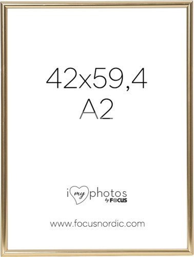 Focus Can-Can Shiny Gold 42x59,4 (A2)
