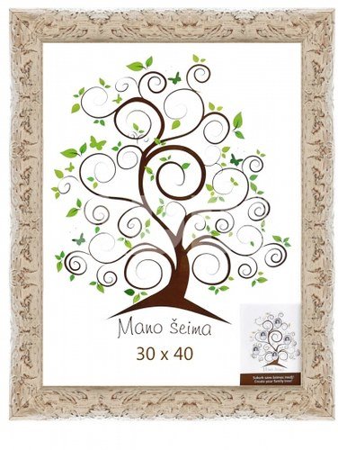 Rėmelis 30x40 med 1200883 AZIJA Silver