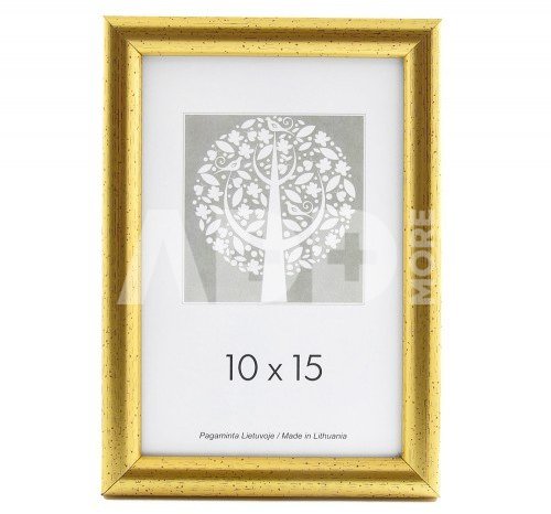 Rėmelis 21x30 plast 1303944 Vakaras Auksinis