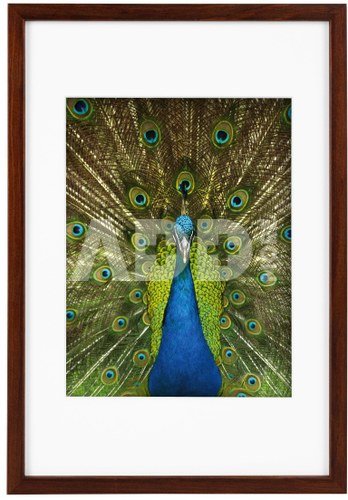Rėmelis GB 900715 Pino mahagoni 20x30/15x20| medinis