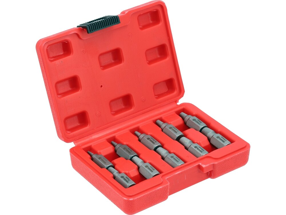 Sraigtiniai ištraukikliai | sugadintiems Hex/Torx/Spline | 3–11 mm | 10 vnt. (24007)