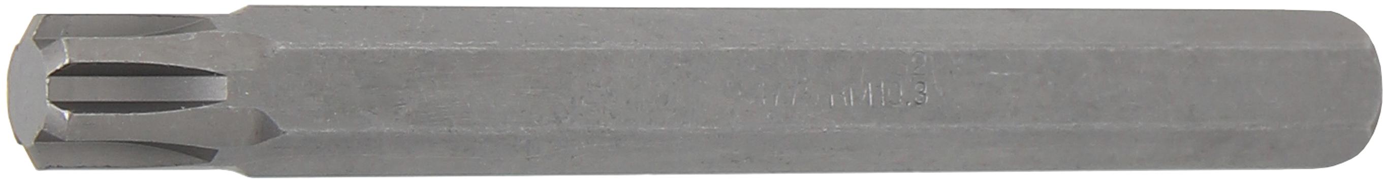 Antgalis | ilgis 100 mm | 10 mm (3/8") | Spline (RIBE) M10.3 (4776)