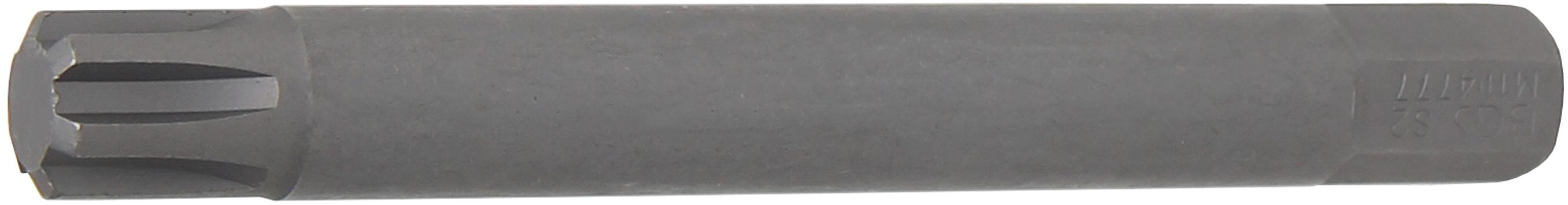 Antgalis | ilgis 100 mm | 10 mm (3/8") | Spline (RIBE) M11 (4777)