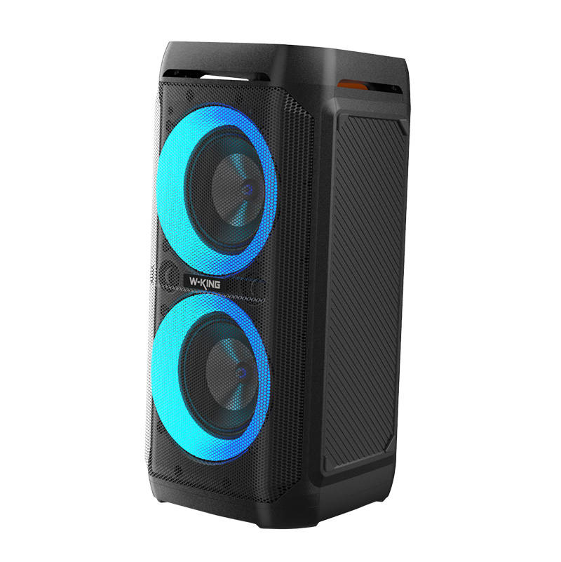 W-King T11 Nešiojama kolonėlė 100W