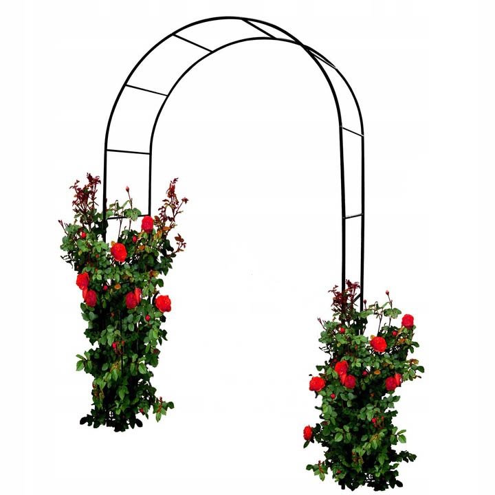 Sodo arka (pergola)