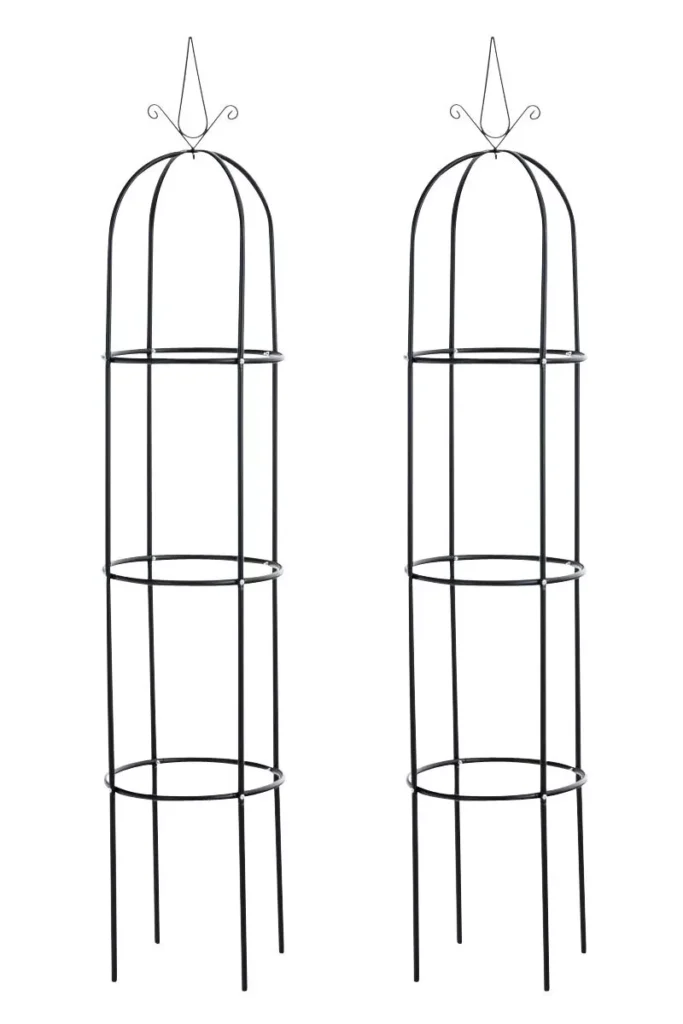2 rožių stulpų rinkinys "Romantika V2