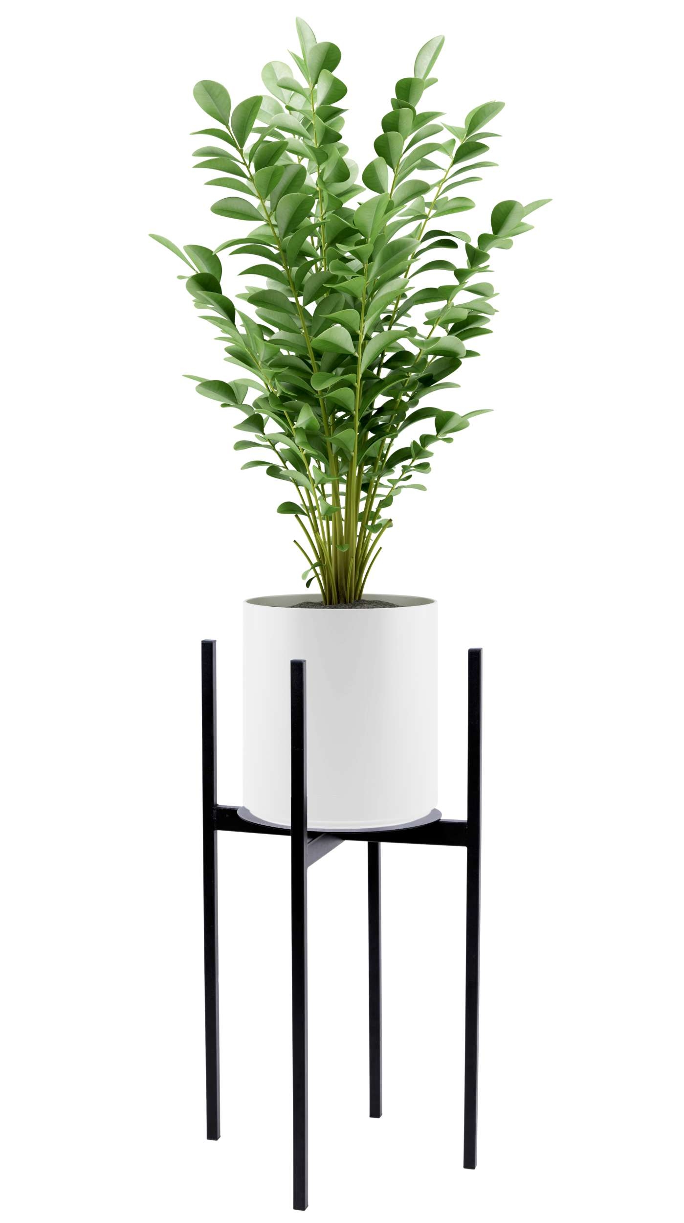 Torre 60 cm juodas augalų stovas