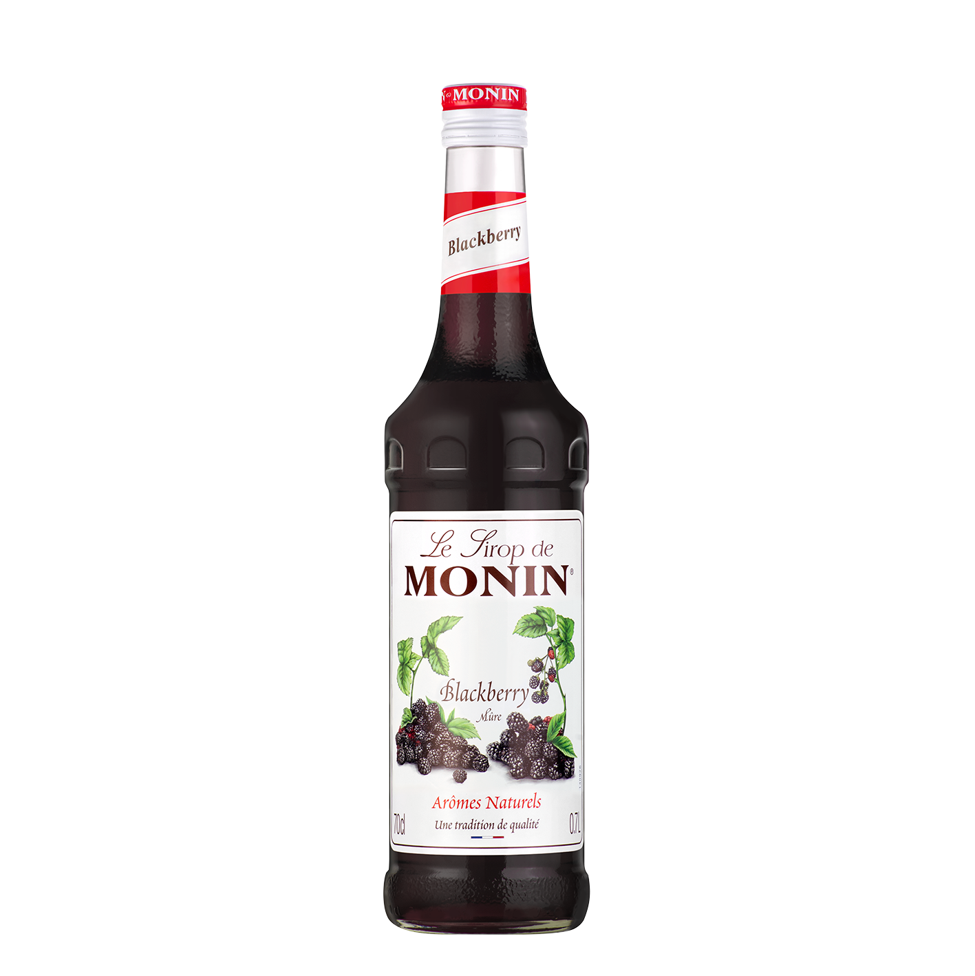 MONIN Gervuogių sirupas 1L