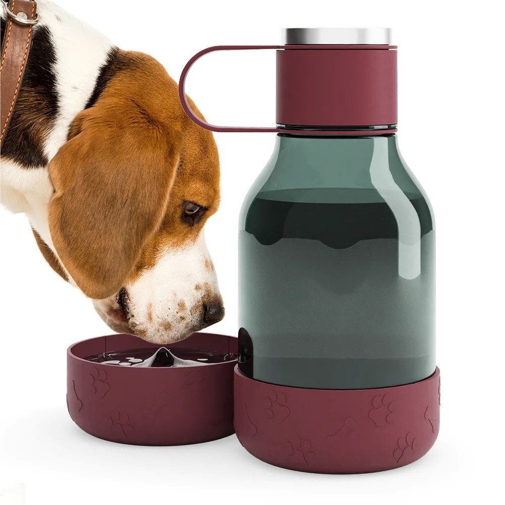 Gertuvė Asobu Dog Bowl Bottle Lite Burgundy, 1500 ml