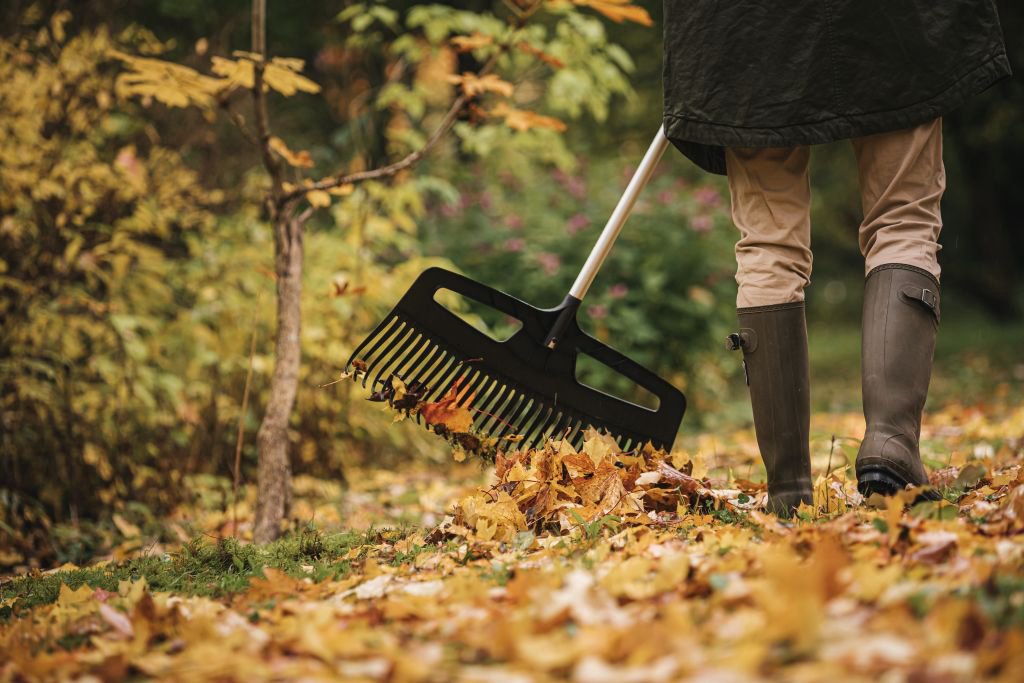 Grėbliai  Fiskars Xact Leaf Rake XXL 630mm