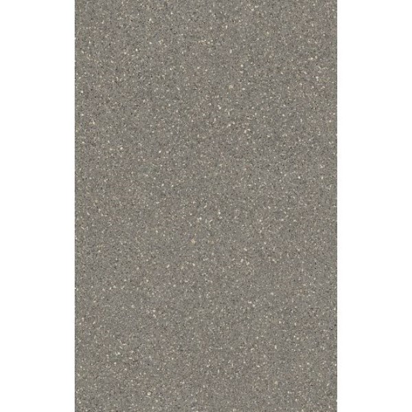 Linoleumas TITAN 900D WR5031 4m pločio, pilka spalva