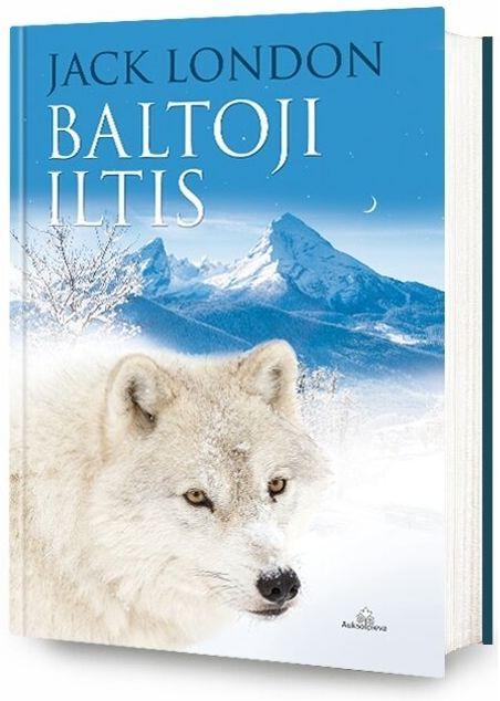 Baltoji iltis