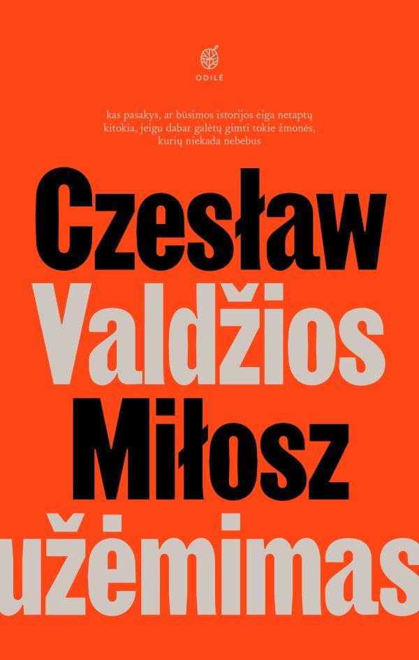 Valdžios užėmimas