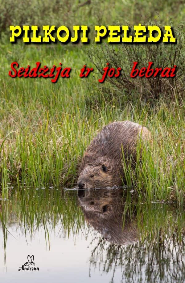 Seidžija ir jos bebrai