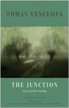Junction; Selected Poems