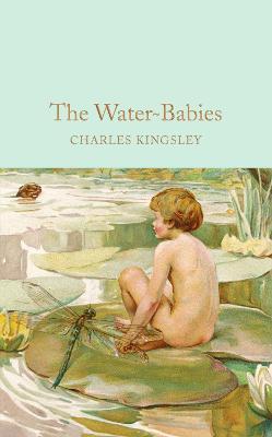 The Water-Babies : A Fairy Tal le for a Land-Baby (Macmillan Collector's Library)